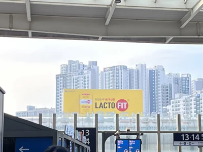 락토핏
