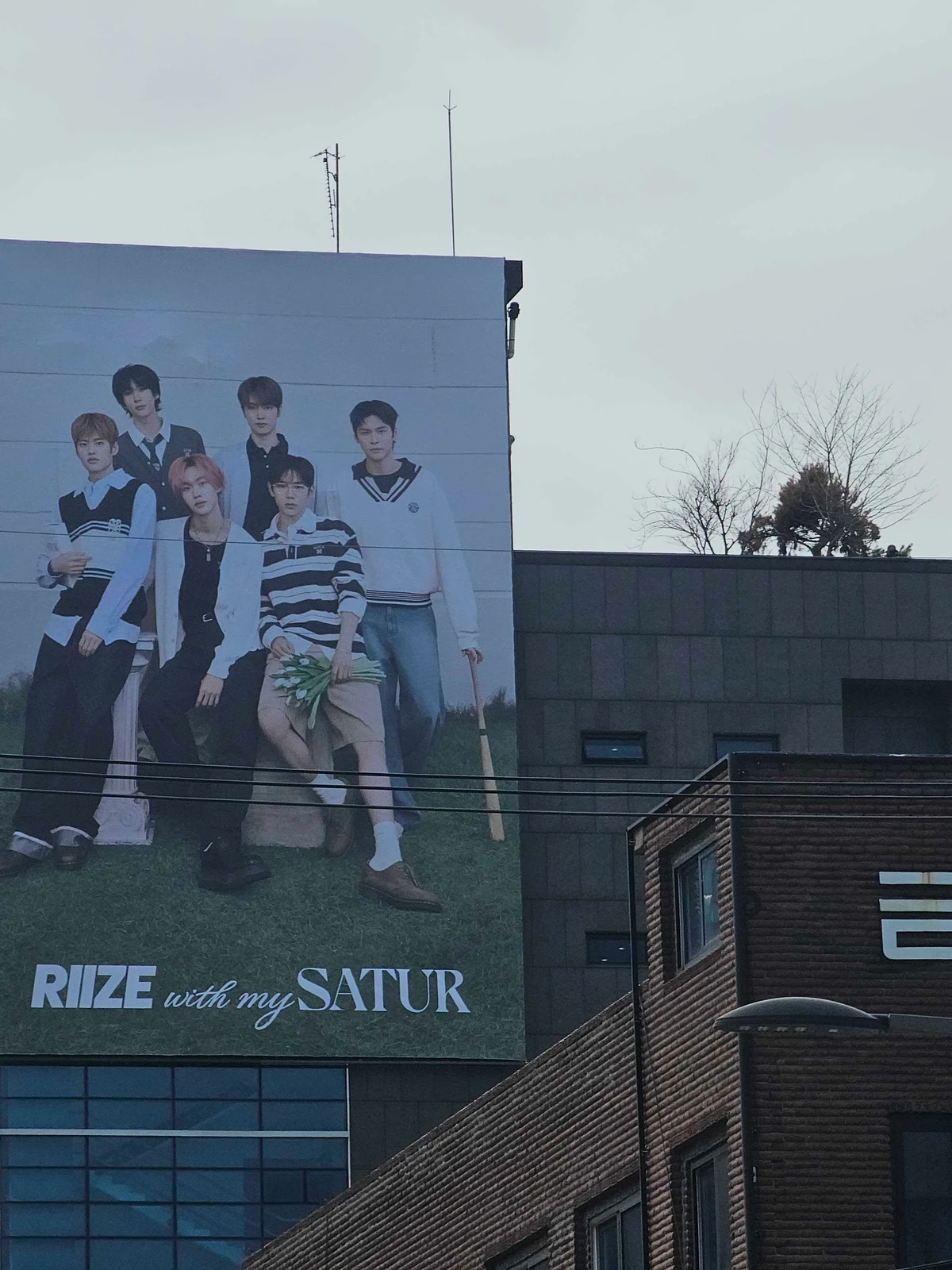 세터 광고 이미지