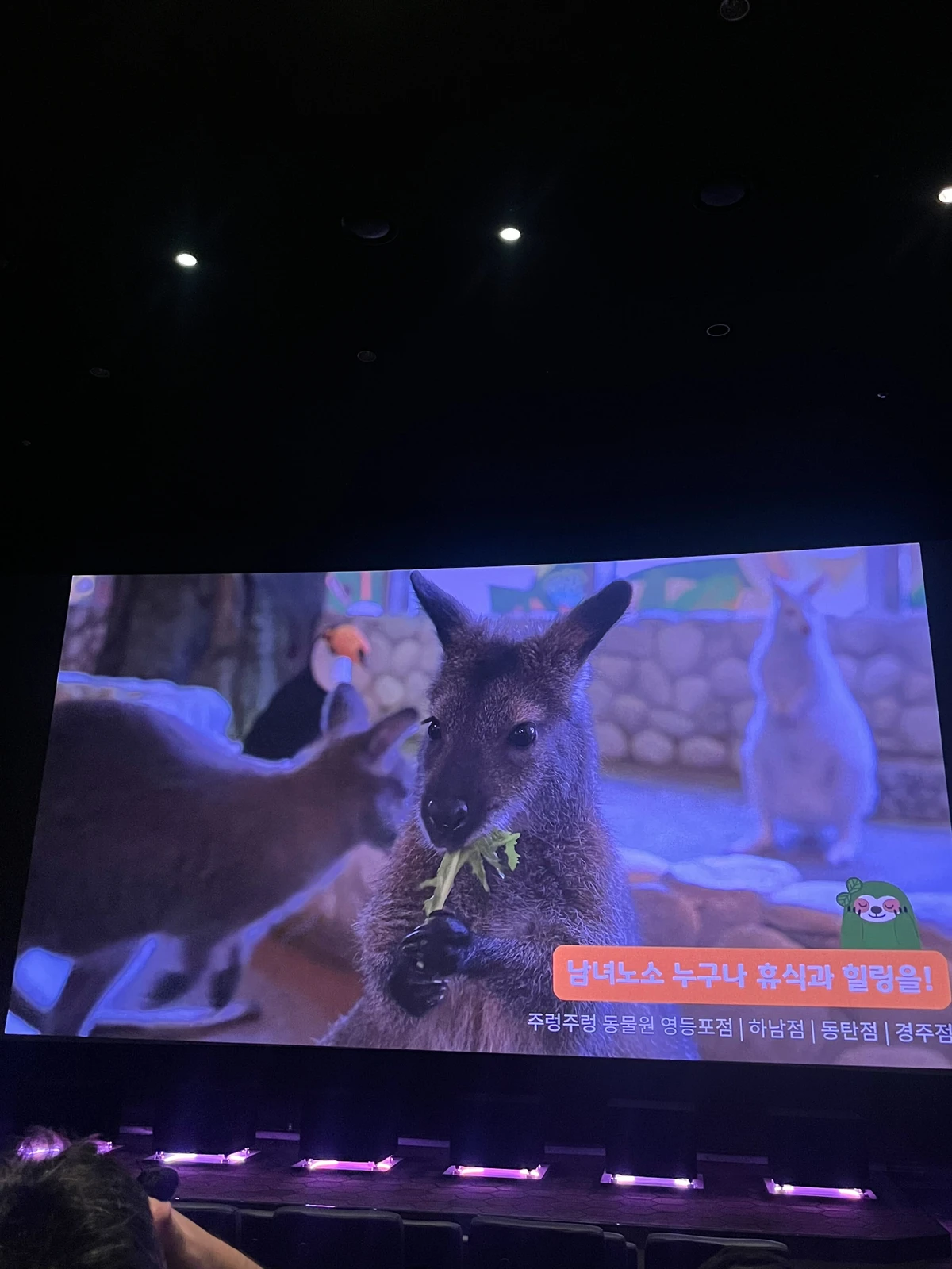 주렁주렁 광고 이미지