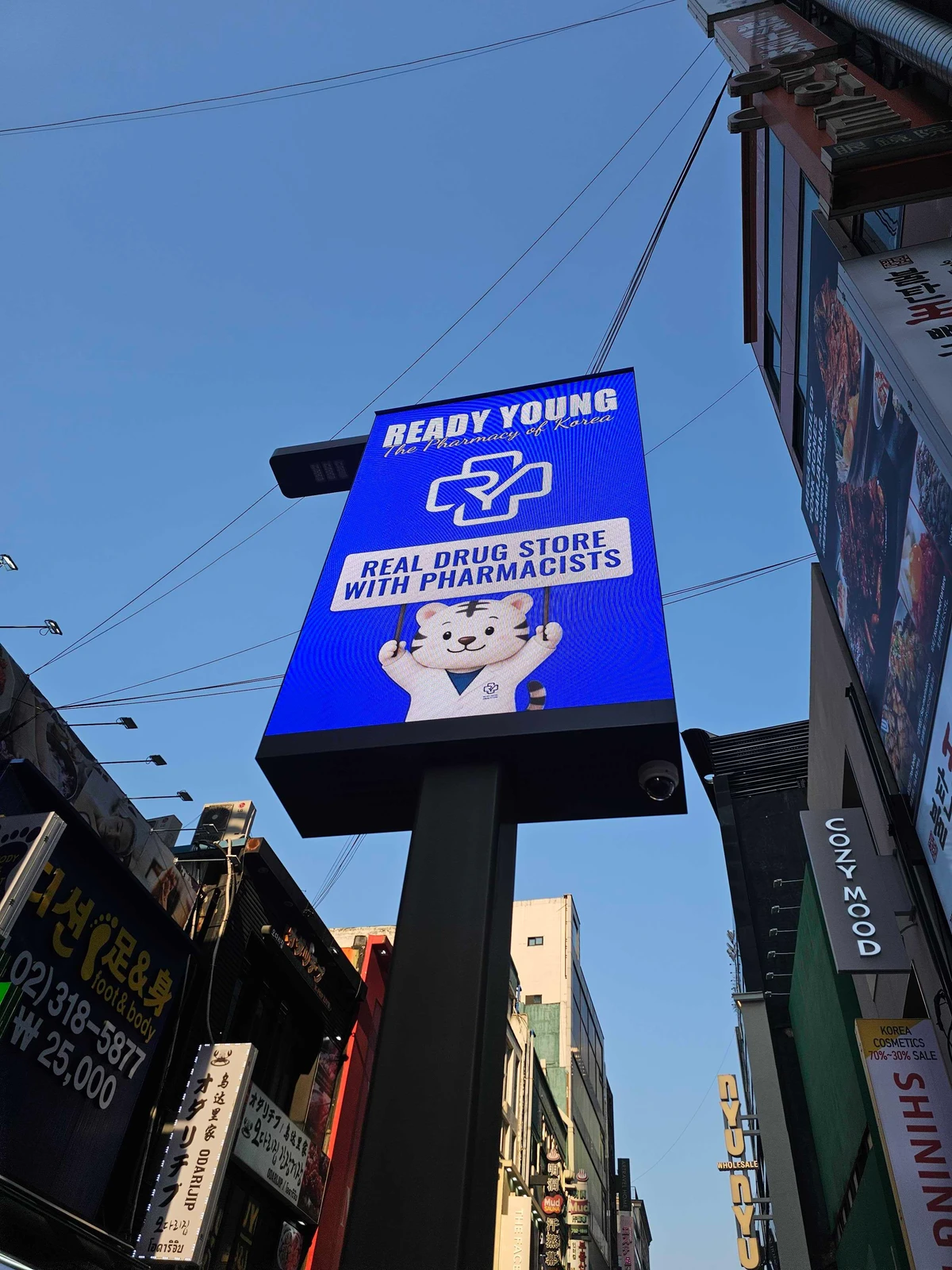 레디영 ready young 광고 이미지