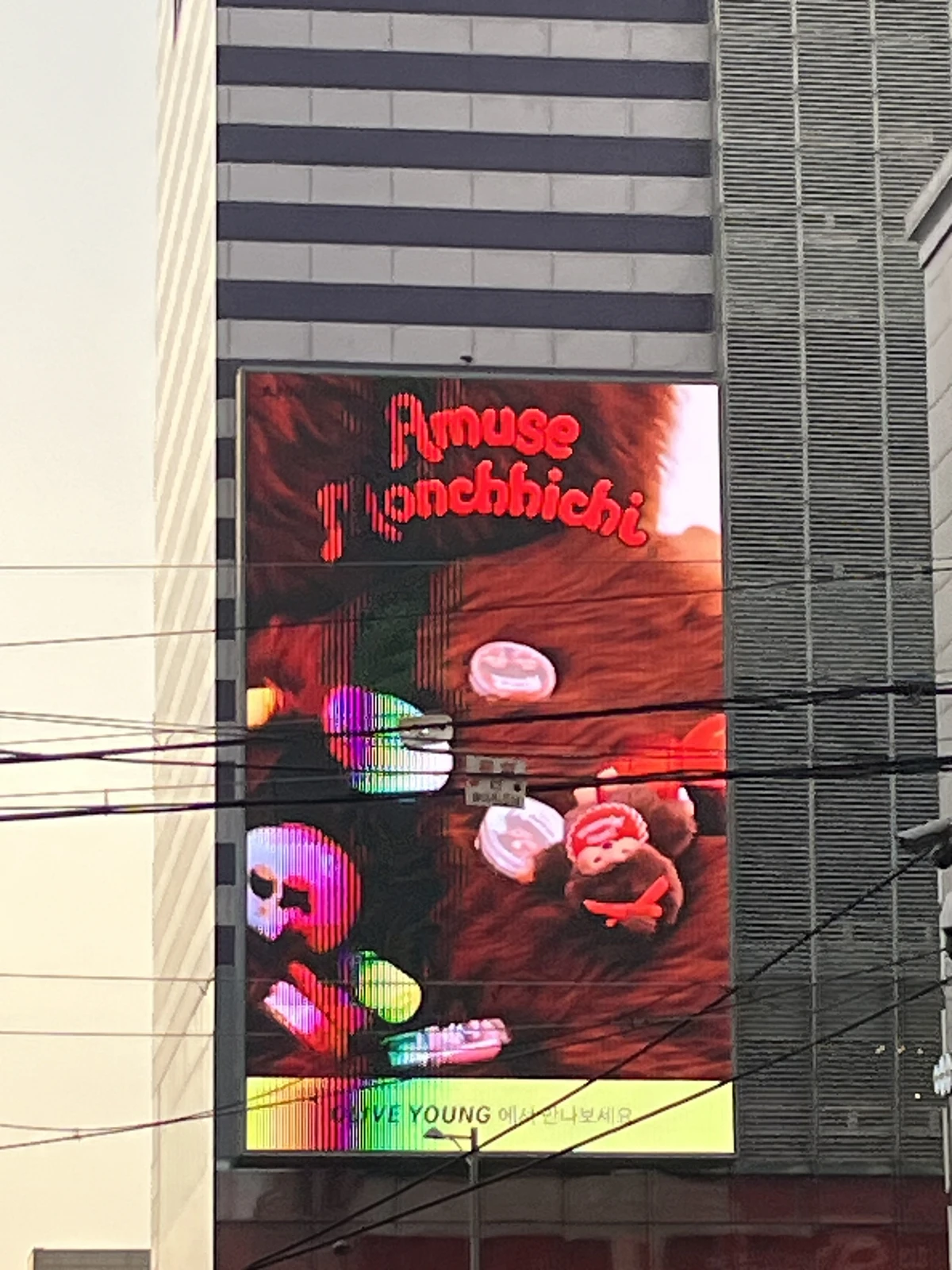 AMUSE 광고 이미지