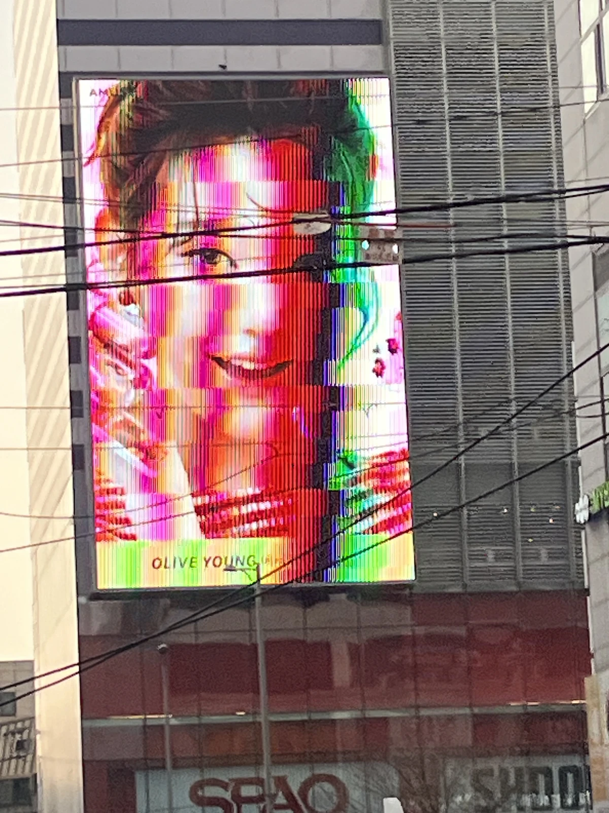 AMUSE 광고 이미지
