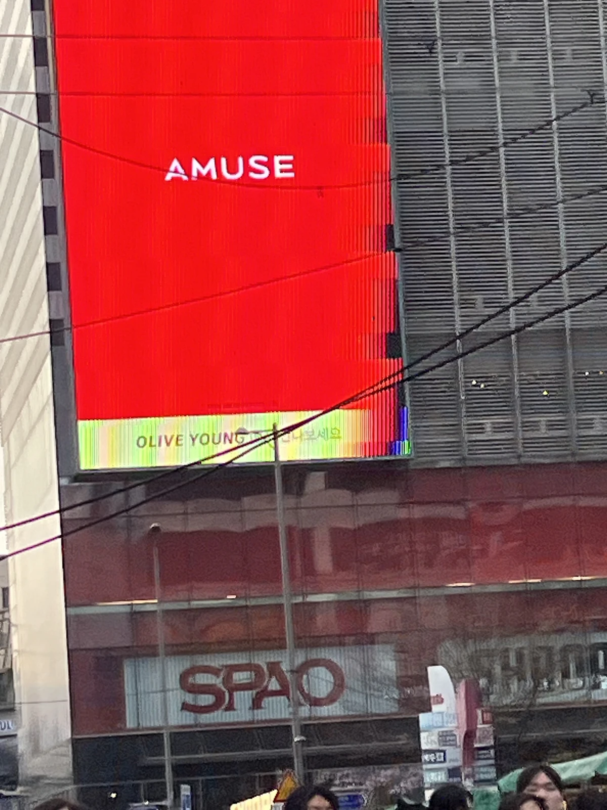 AMUSE 광고 이미지