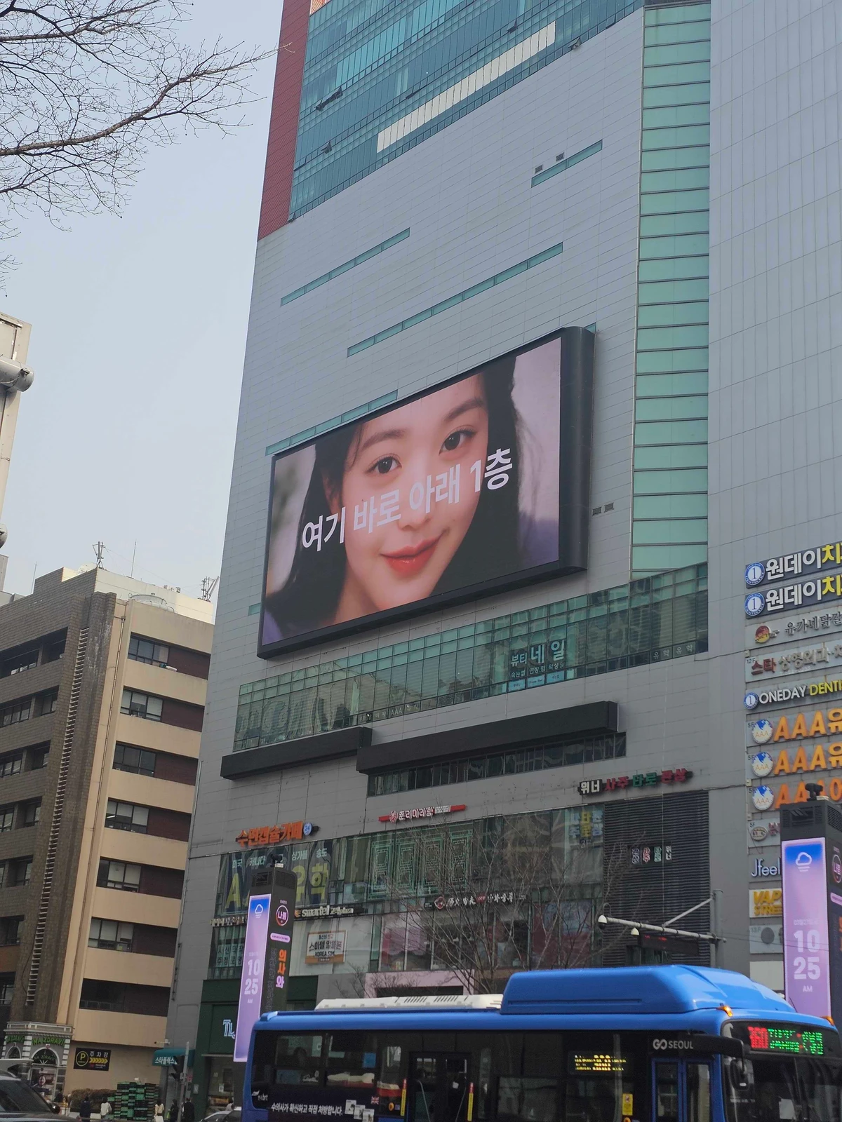 하파크리스틴 광고 이미지