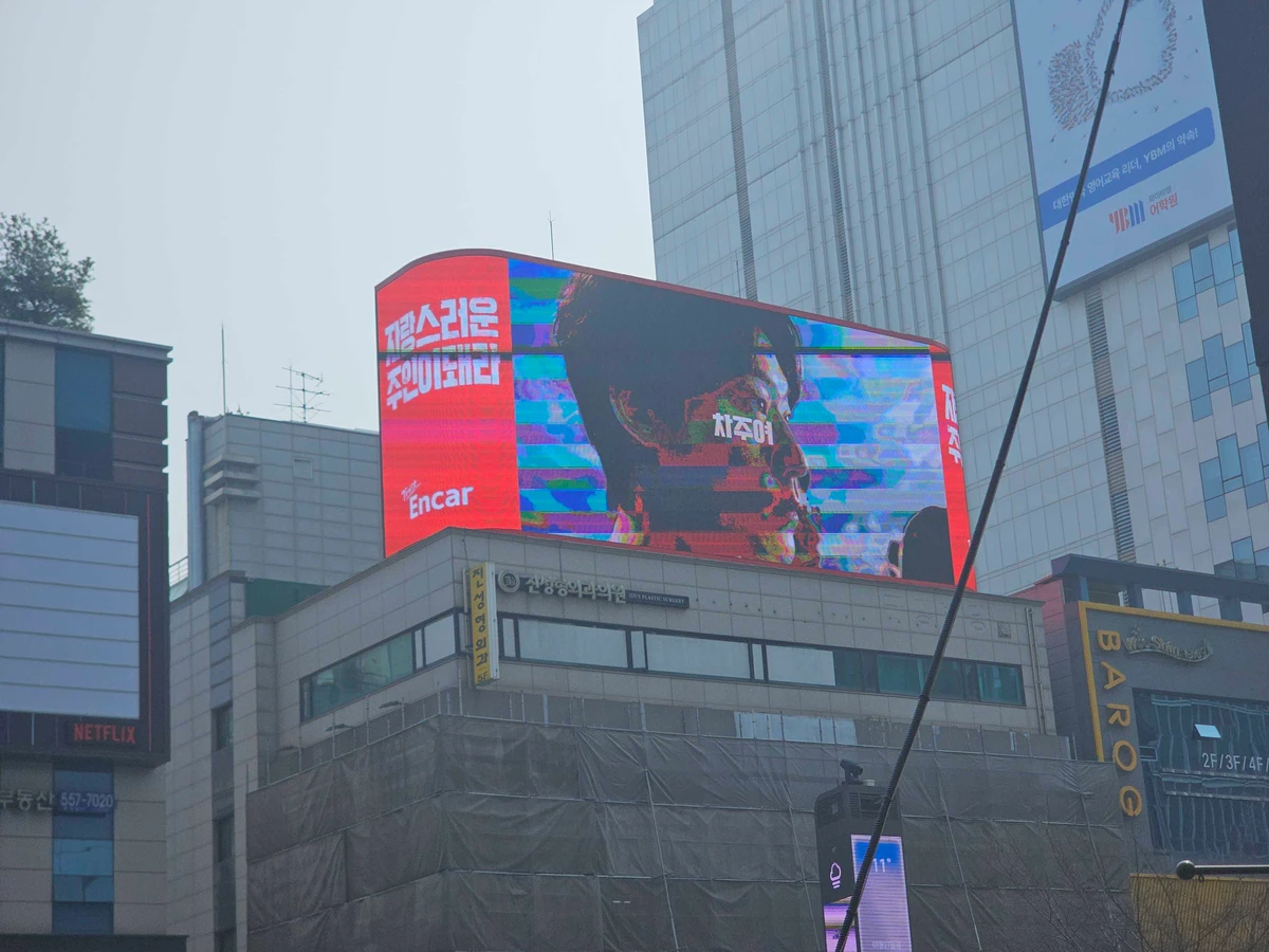 엔카 광고 이미지