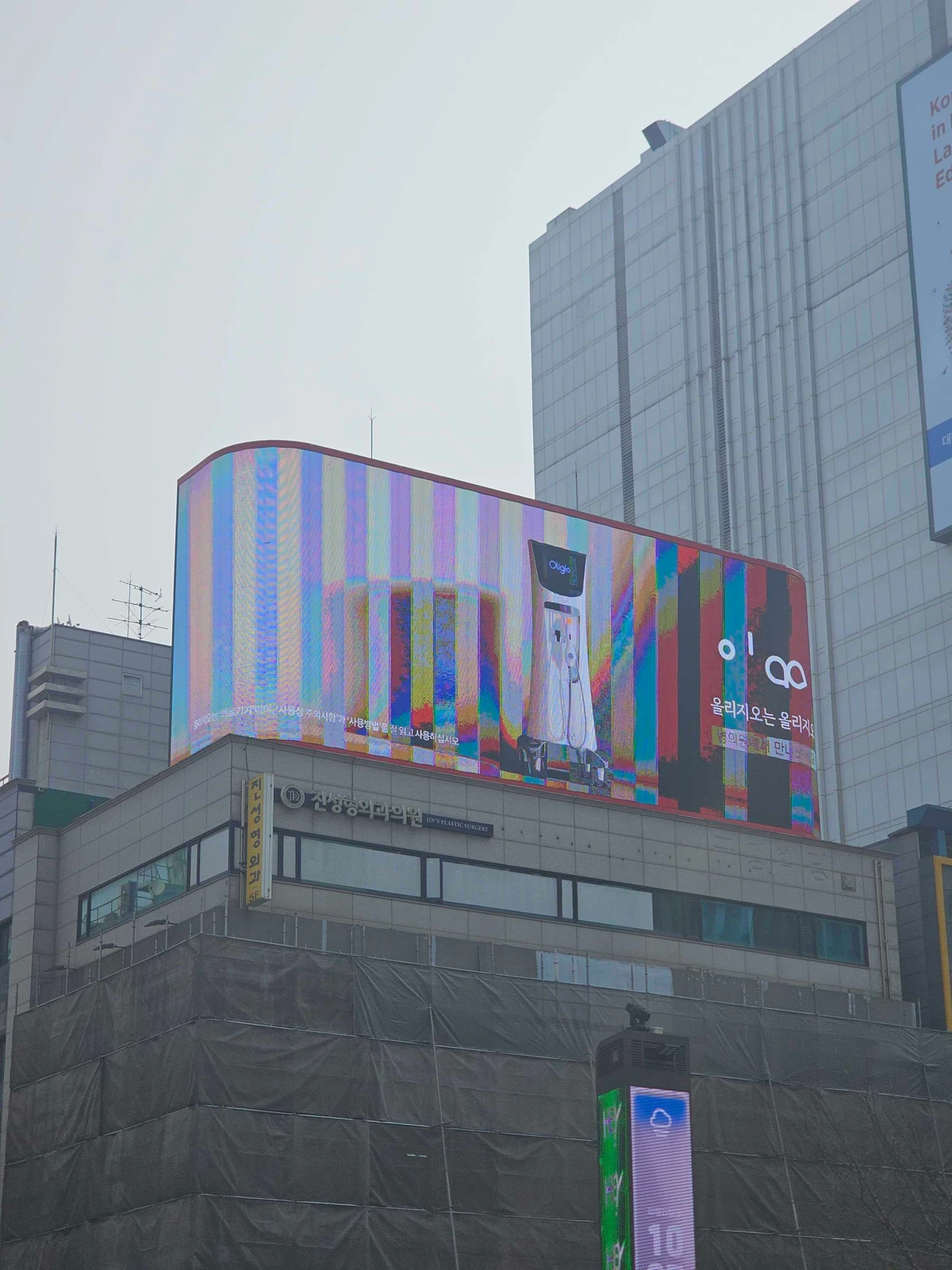 올리지오 광고 이미지