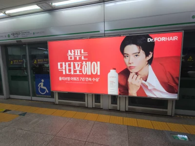 닥터포헤어
