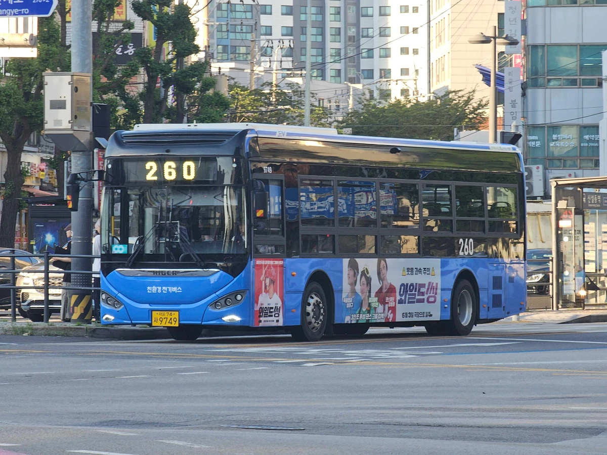 와일드씽 광고 이미지