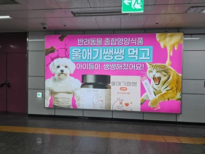 울애기쌩쌩