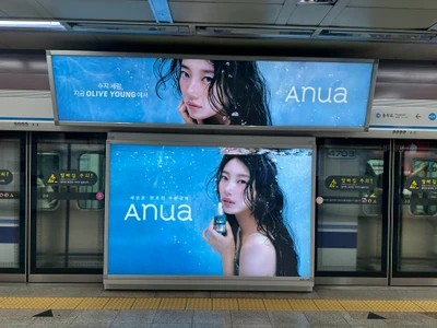 아누아