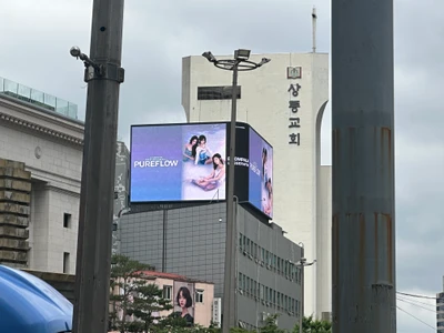 르세라핌