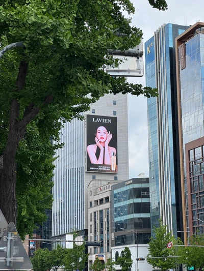 라비앙
