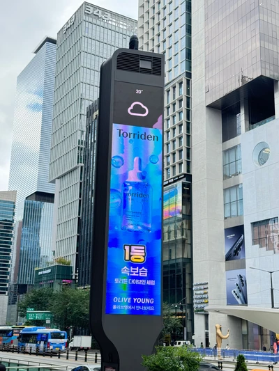 토리든