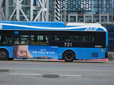 헤이딜러