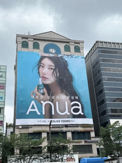 아누아