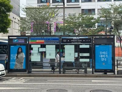 네파