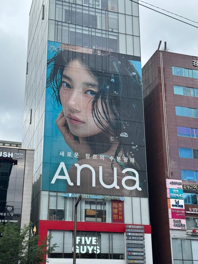 아누아