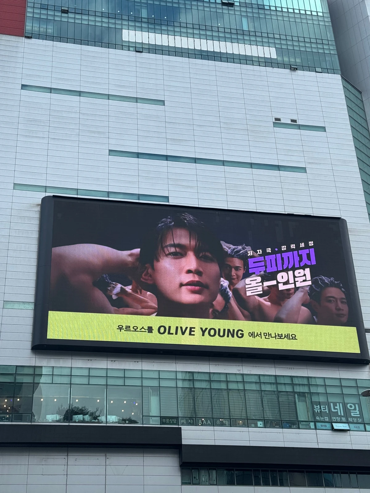 우르오스 광고 이미지