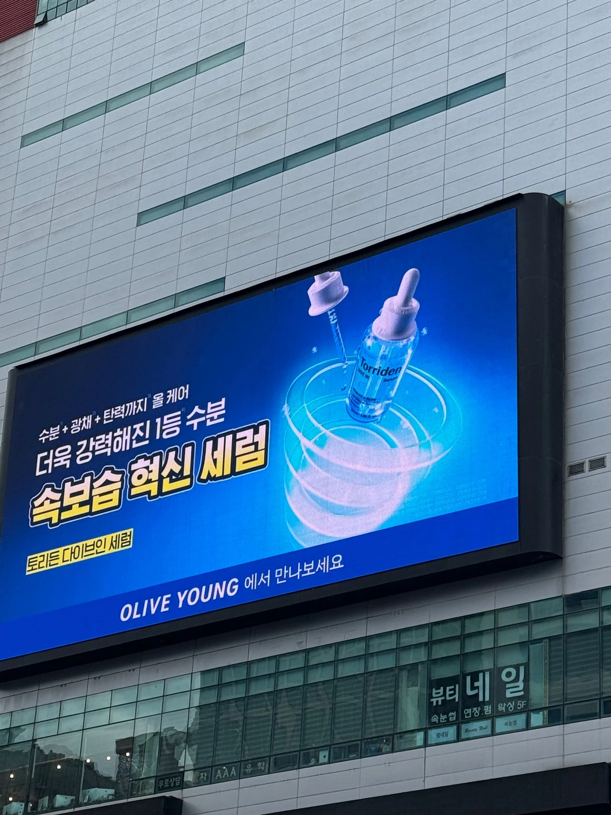 토리든 광고 이미지