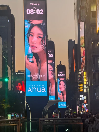 아누아