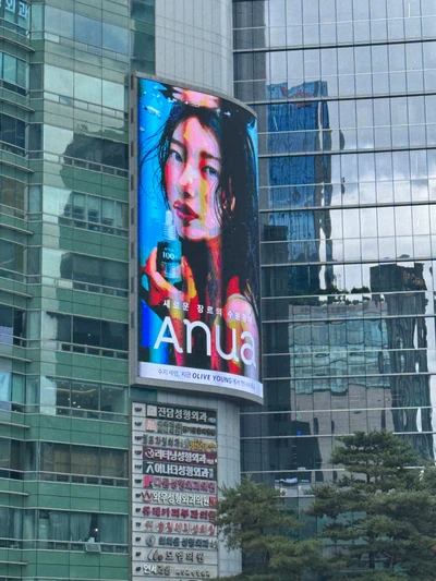 아누아