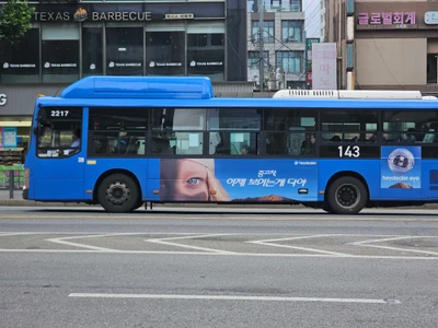 헤이딜러
