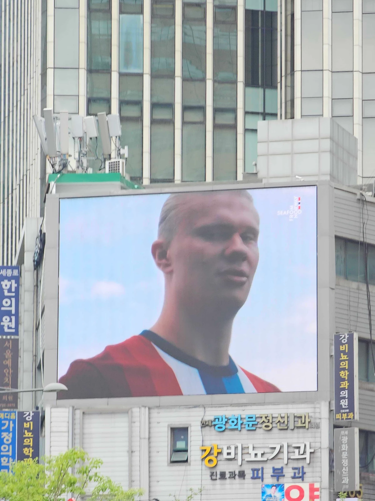 시푸드 프롬 노르웨이 광고 이미지