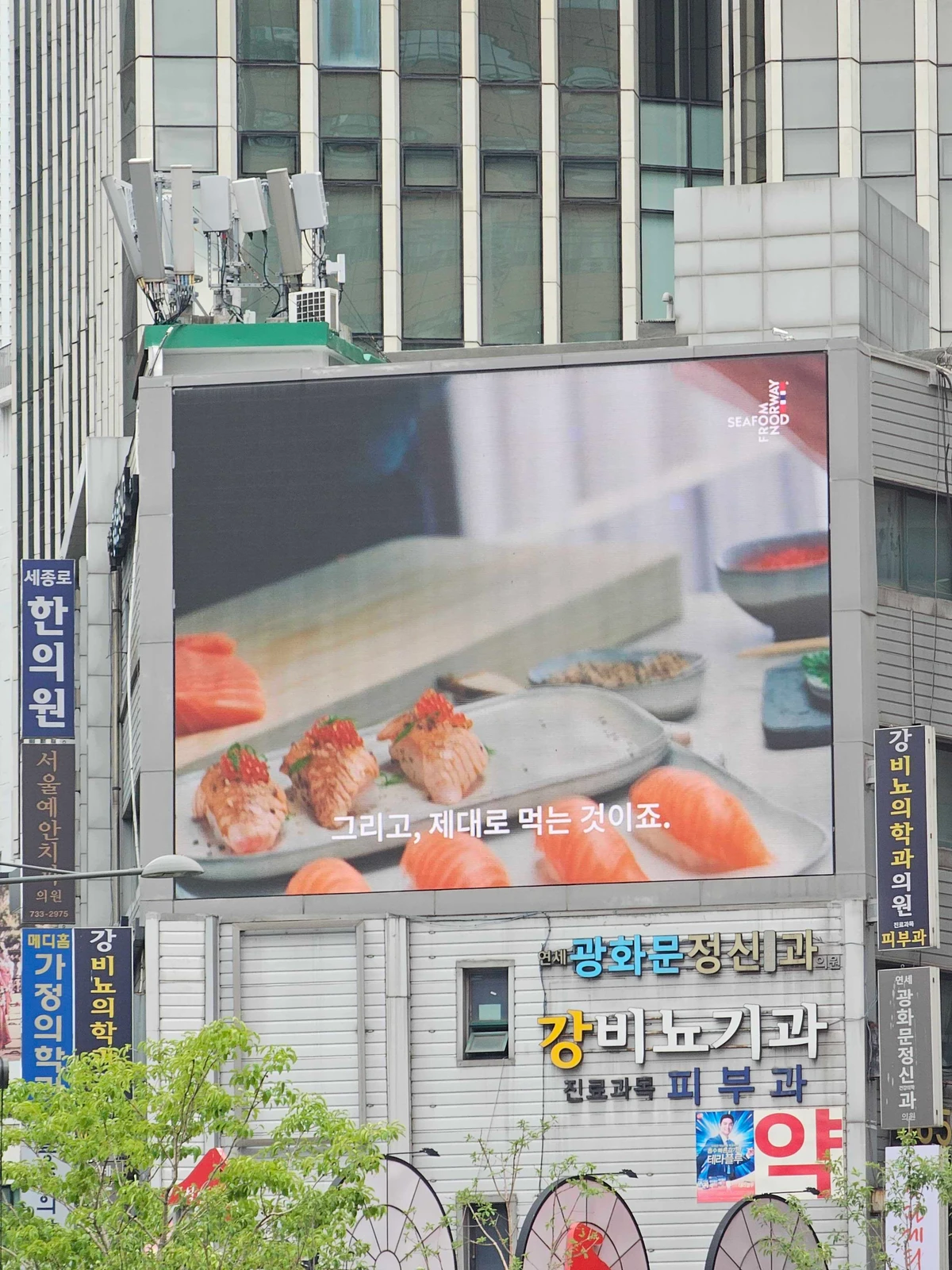 시푸드 프롬 노르웨이 광고 이미지