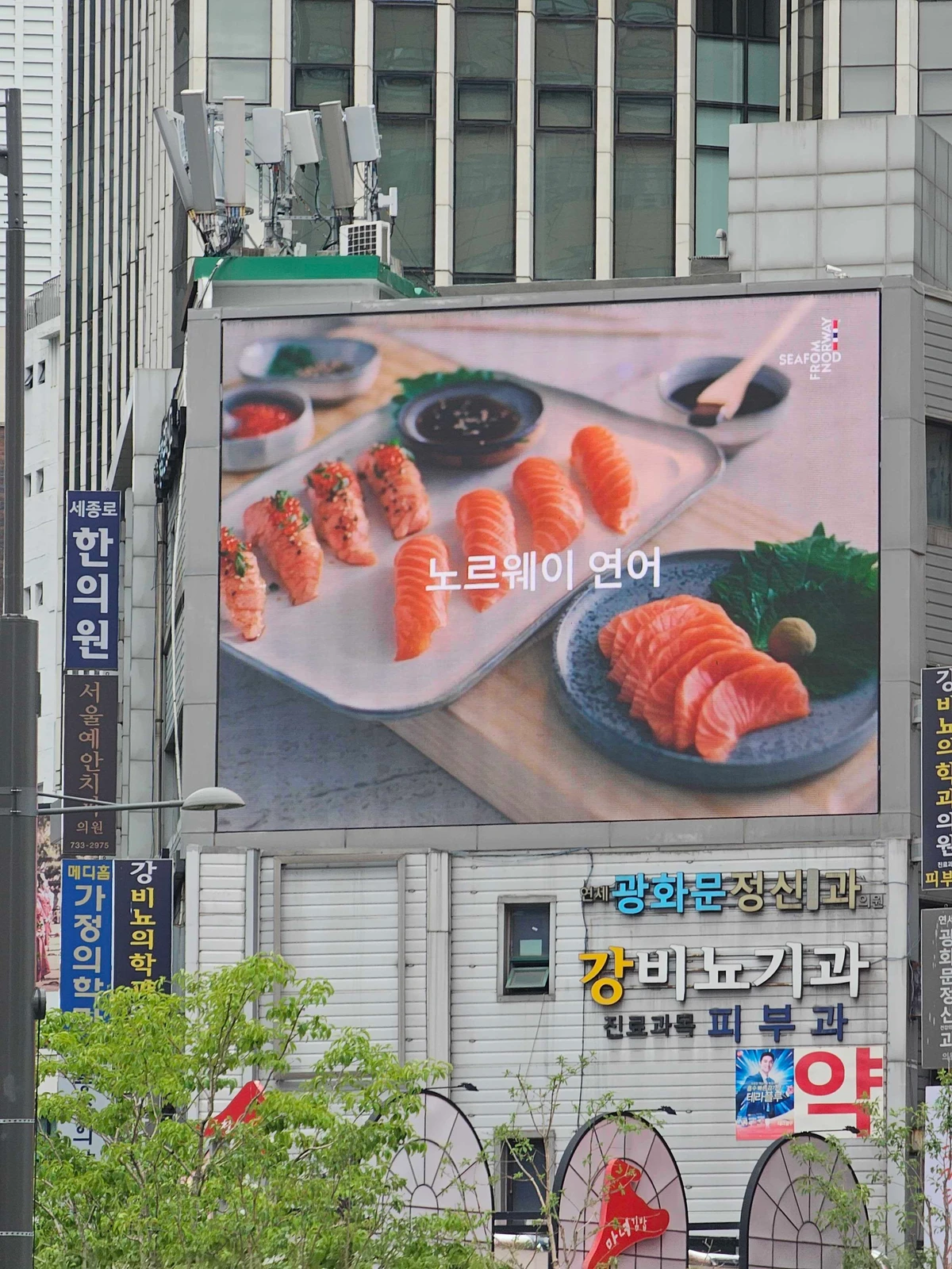 시푸드 프롬 노르웨이 광고 이미지