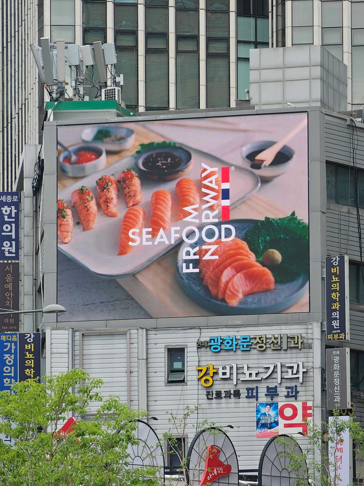 시푸드 프롬 노르웨이 광고 이미지