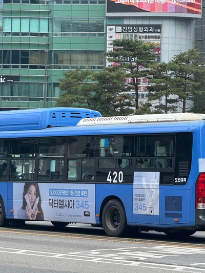 닥터엘시아