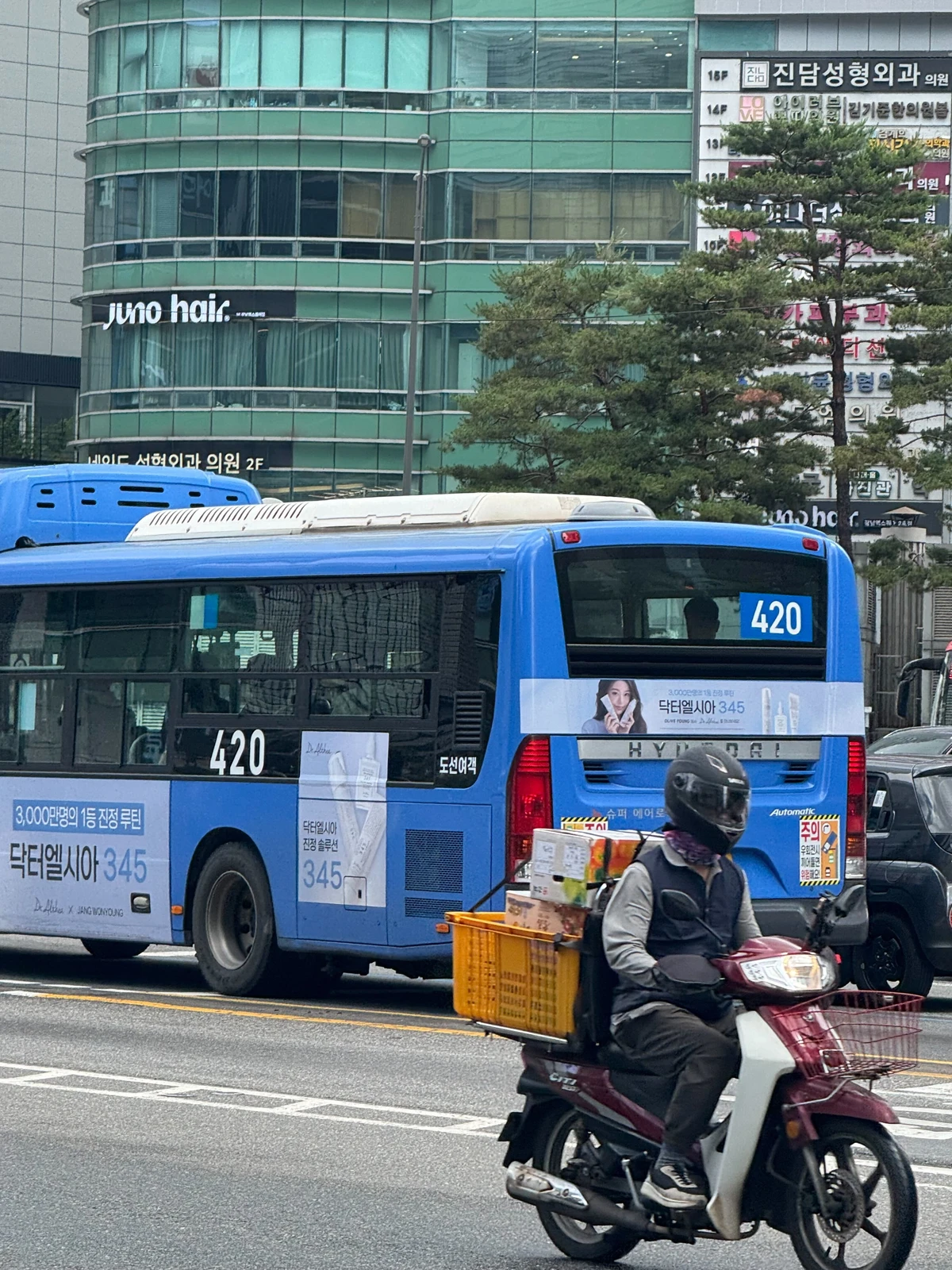 닥터엘시아 광고 이미지