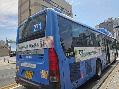 핫식스