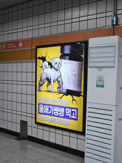 울애기쌩쌩