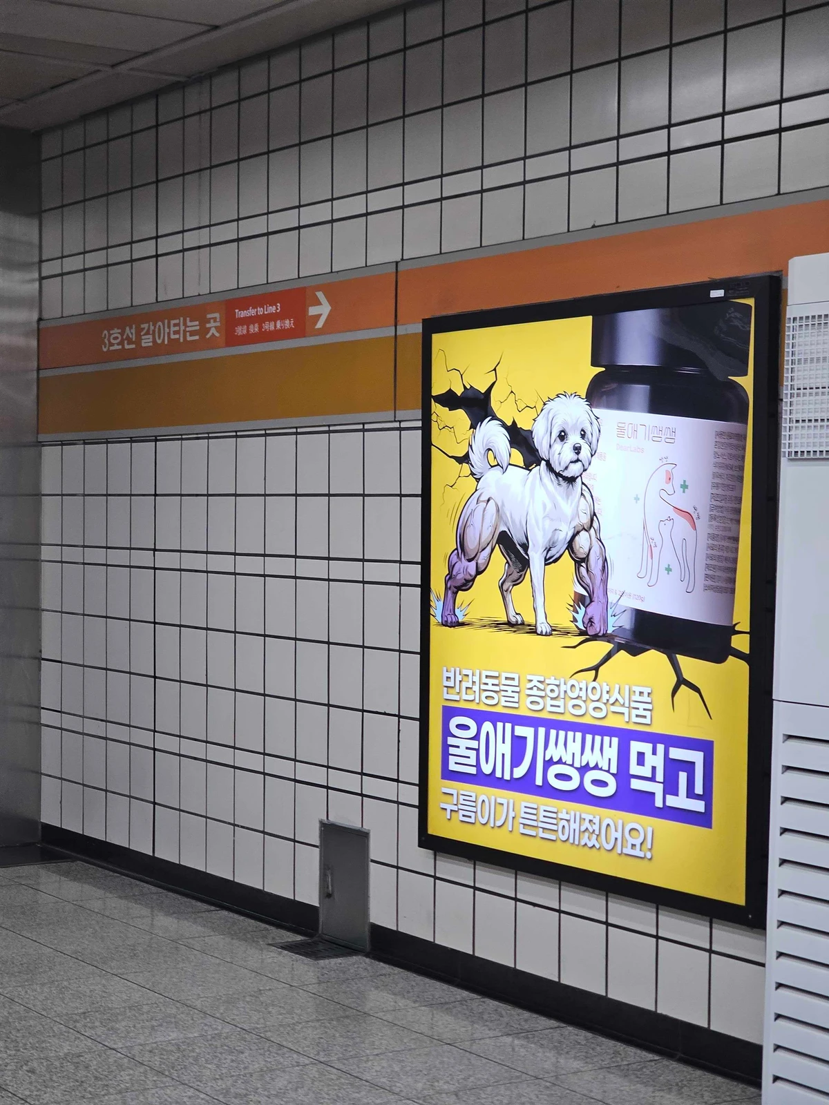 울애기쌩쌩 광고 이미지