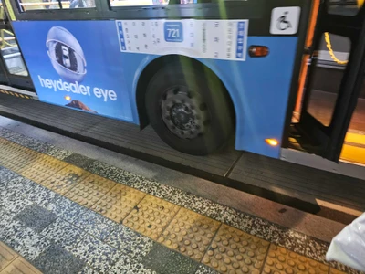 헤이딜러
