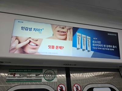 센소다인