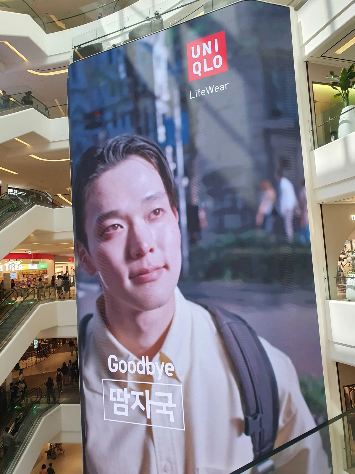 유니클로 광고 이미지