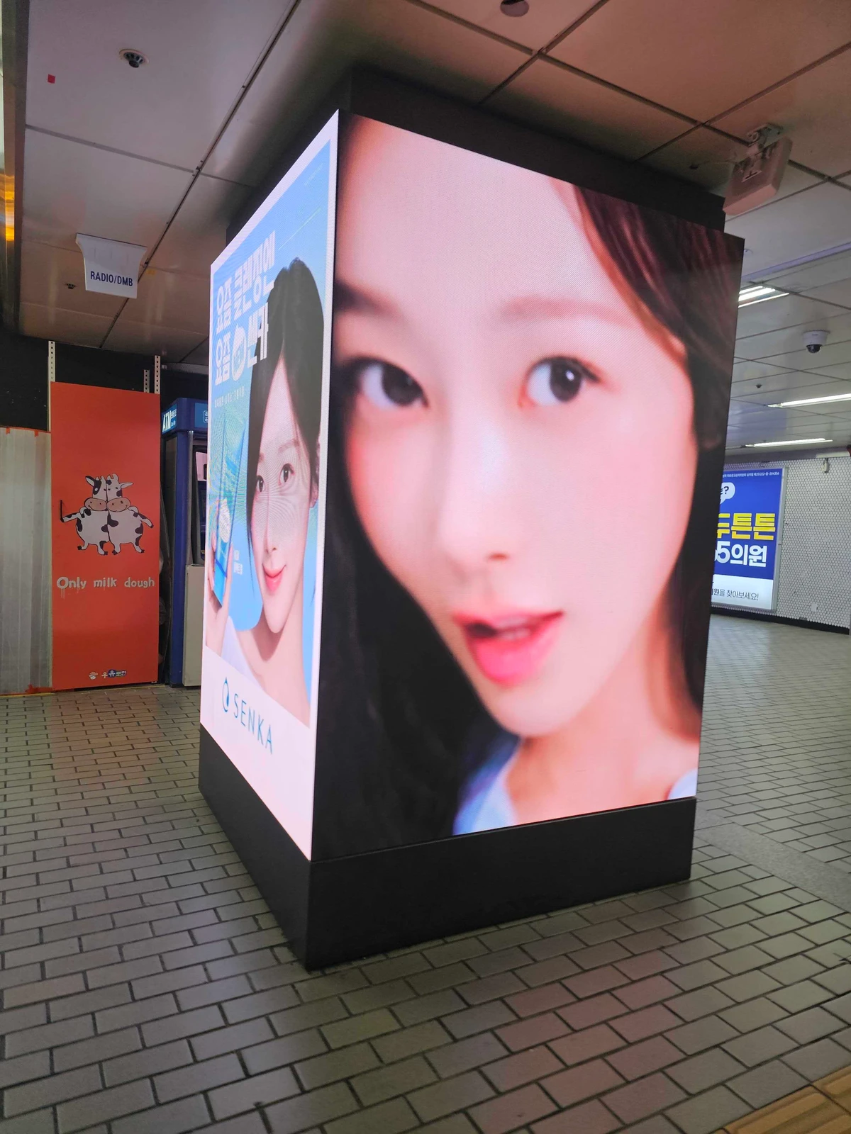 센카 광고 이미지