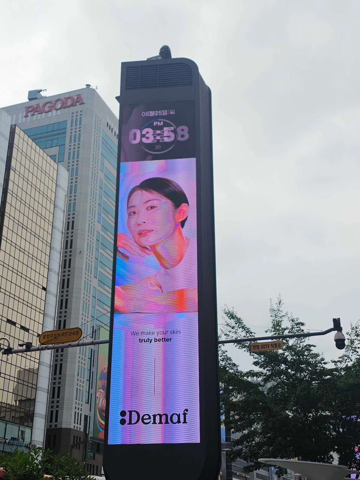디마프 광고 이미지