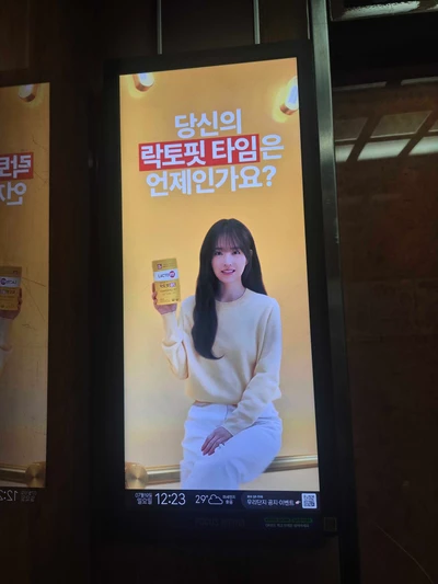 락토핏
