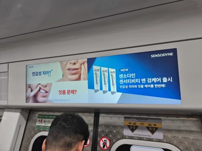 센소다인