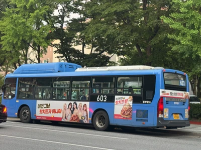 맘스터치