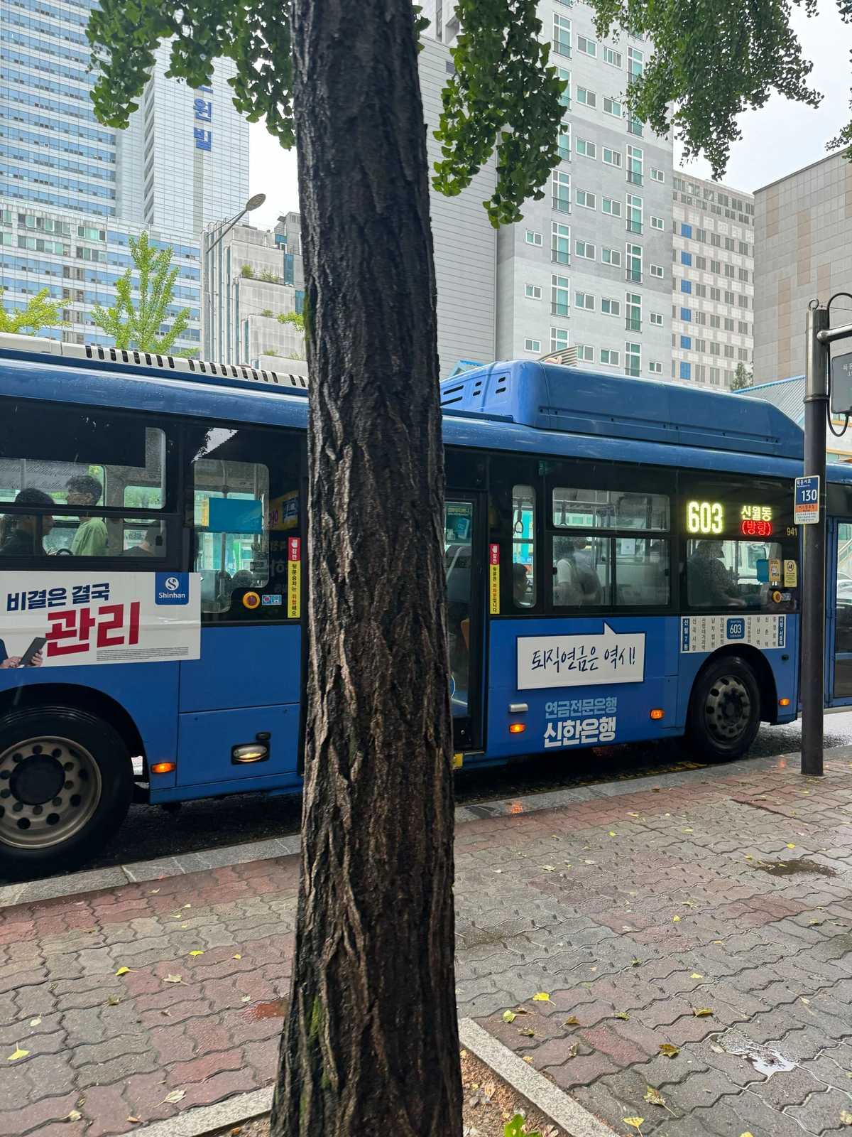 신한은행 광고 이미지