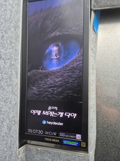 헤이딜러