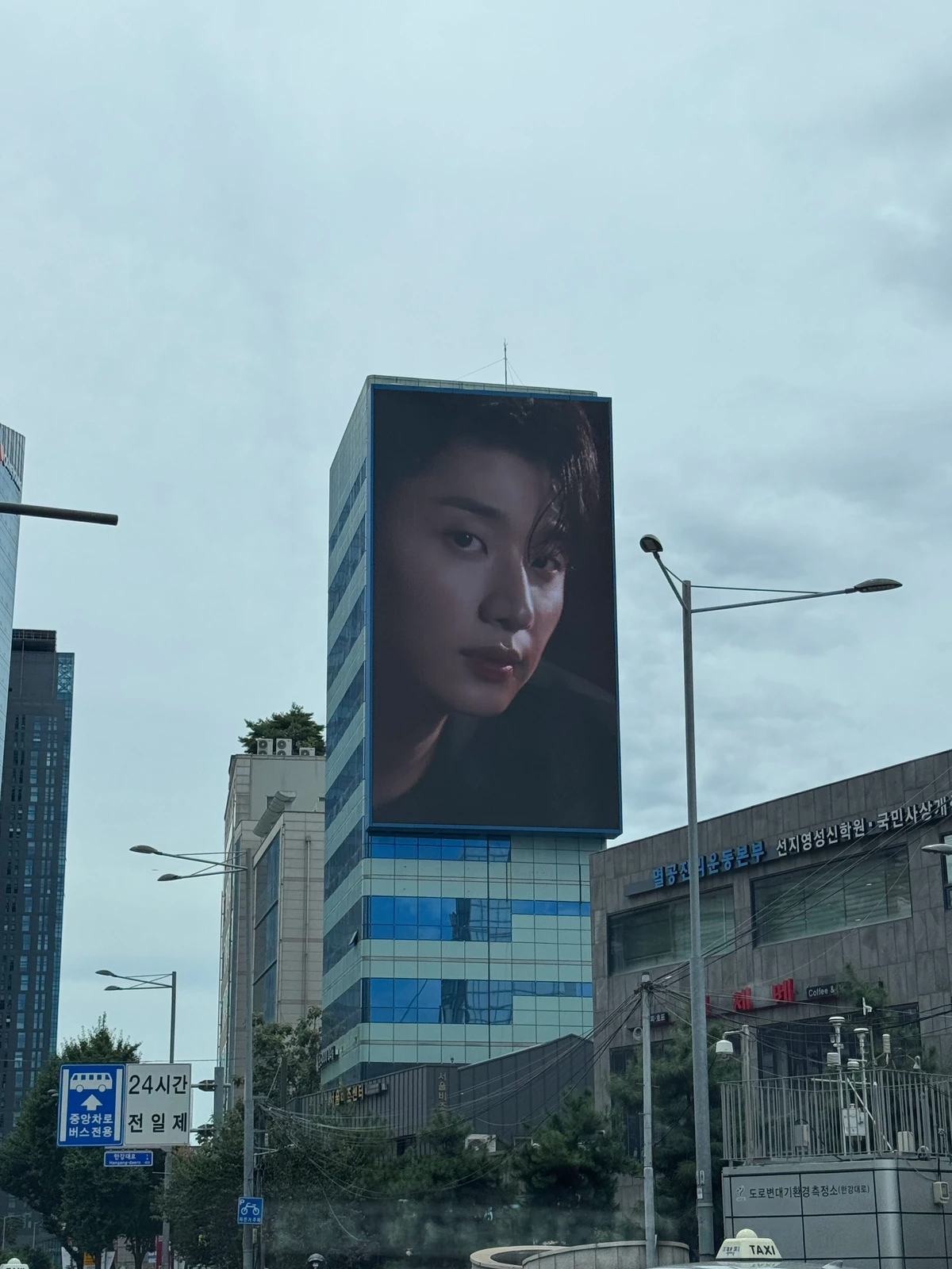 molvany 광고 이미지