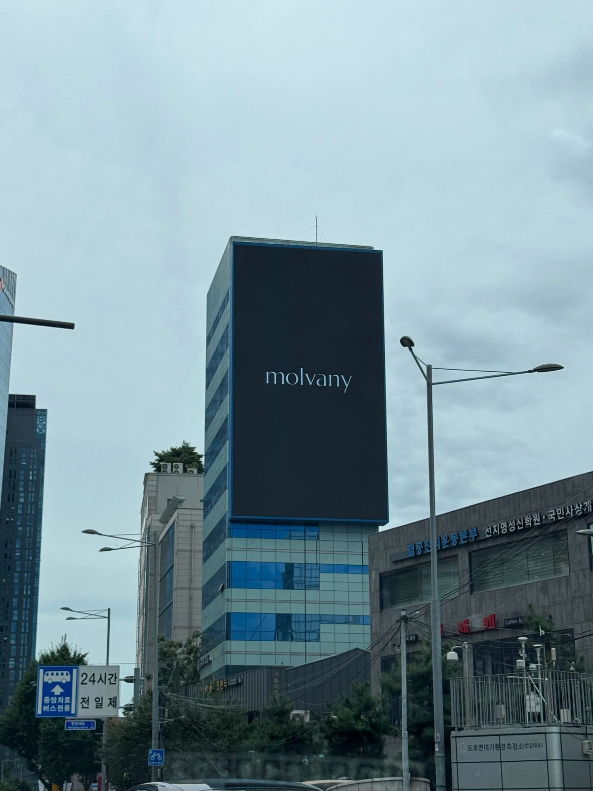 molvany 광고 이미지