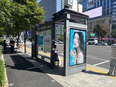 아누아