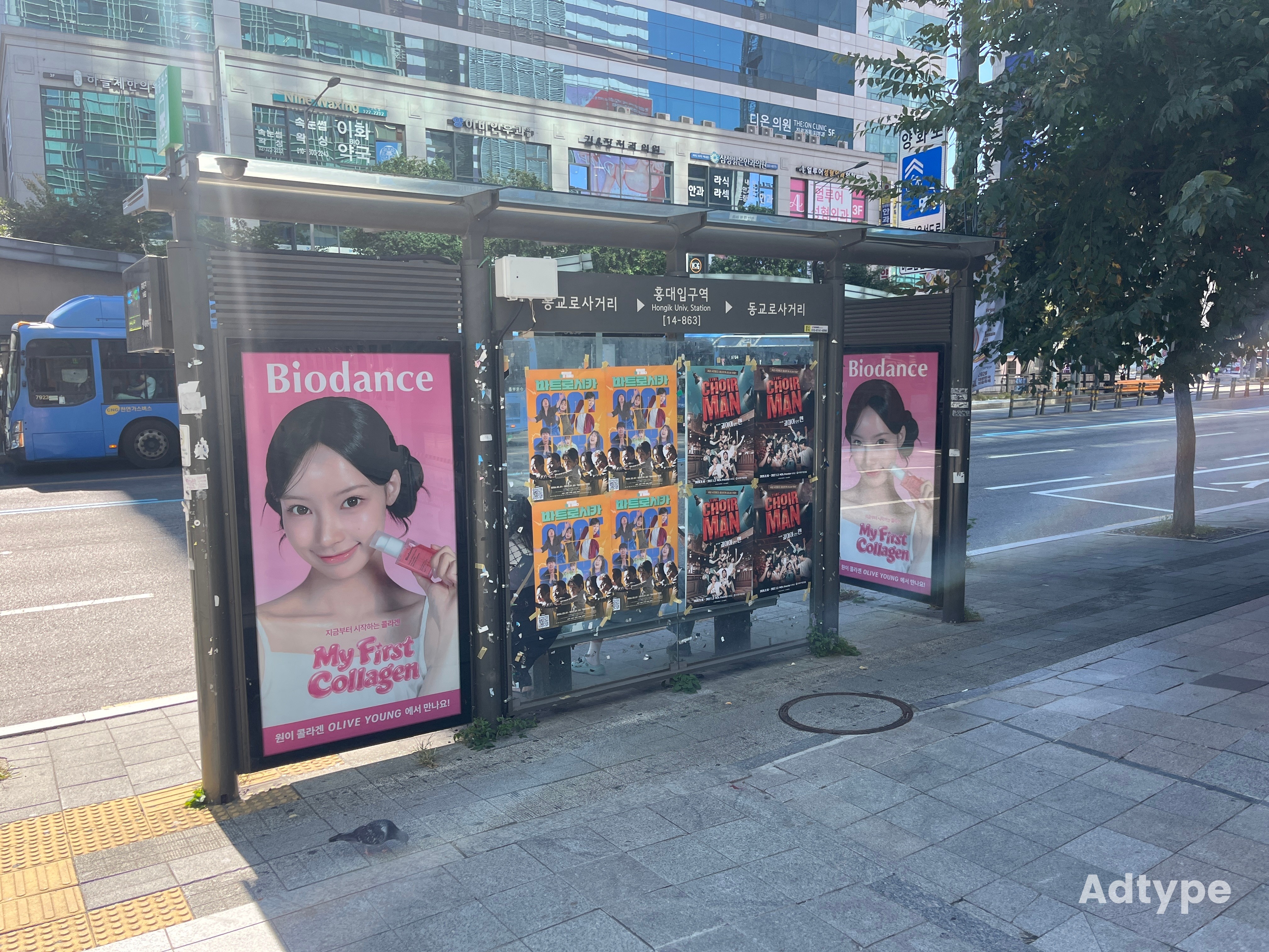 바이오던스