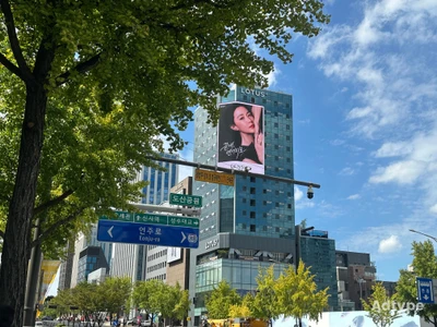 덴서티